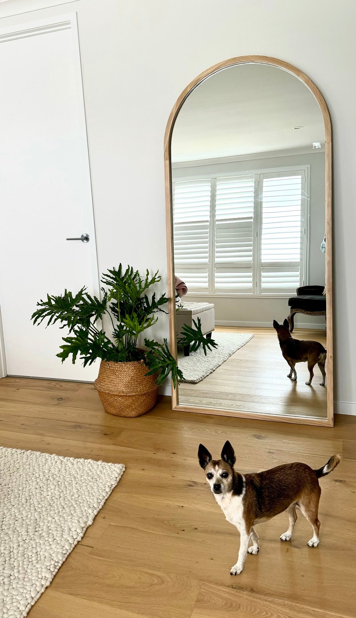 Wood Arch Large TAMARA  Mirror Black White Natural