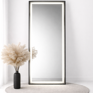 Luxe Frame Pro LED Mirror
