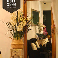 Antique Mirror Vienna RF Thick Frame (Pre -Order item)
